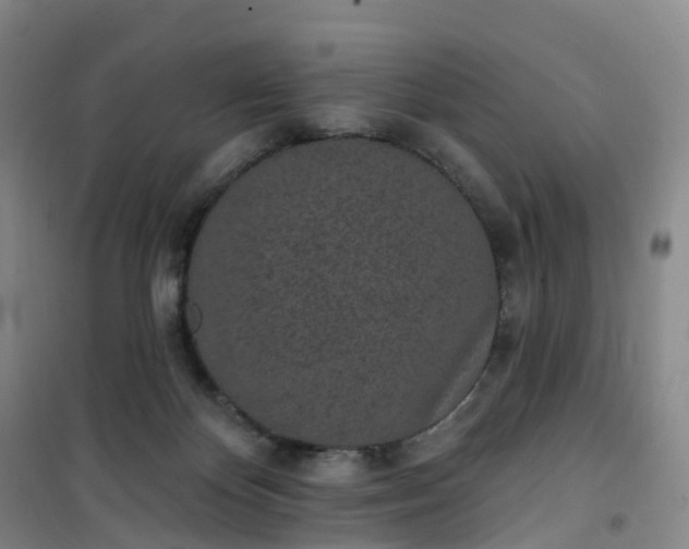 X0000101180124200807111124