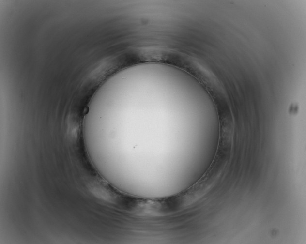 X0000101180125200807111124