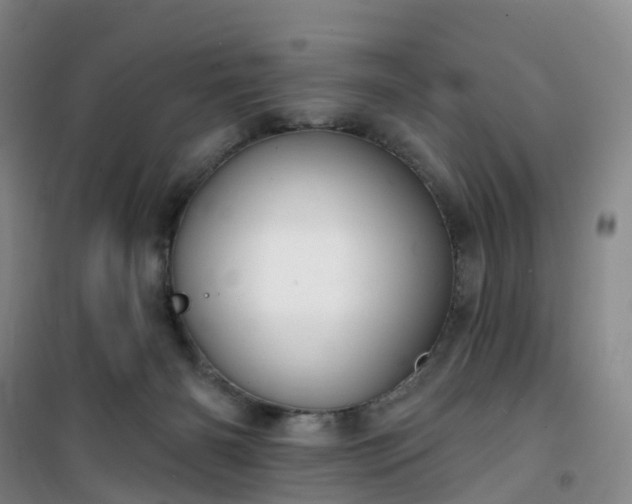 X0000101180126200807111124