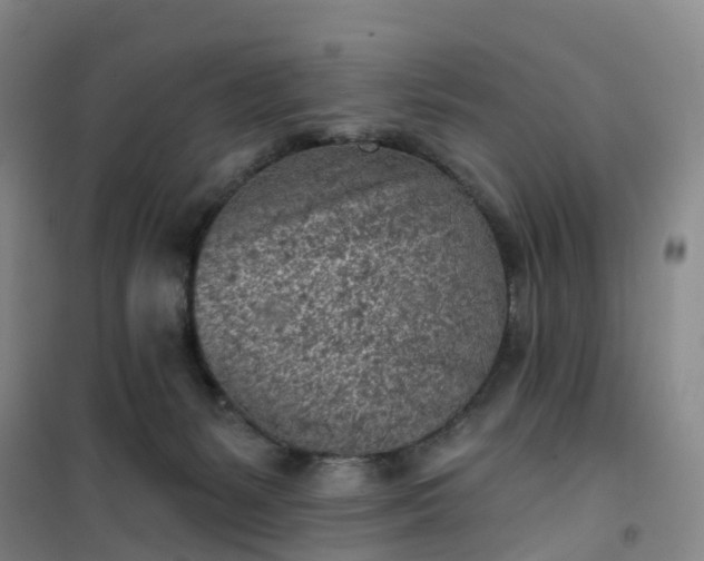 X0000101180127200807111124