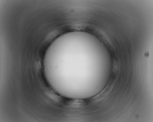 X0000101180128200807111124