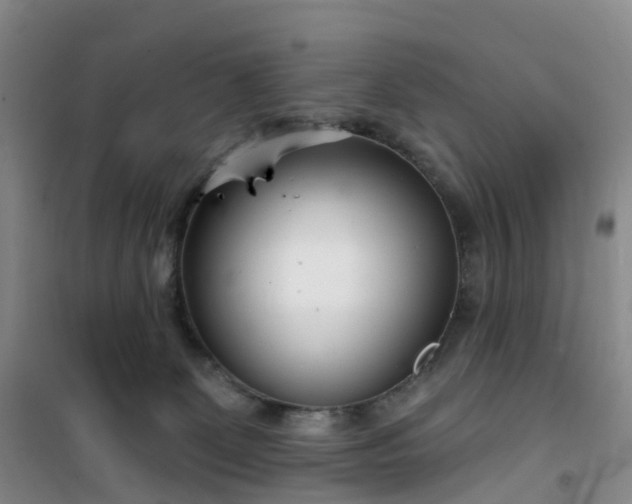 X0000101180131200807111124