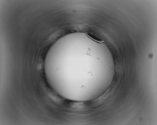 X0000101180132200807111124