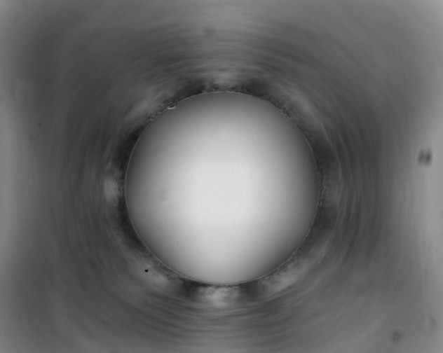 X0000101180135200807111124