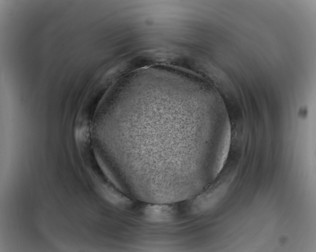 X0000101180137200807111124