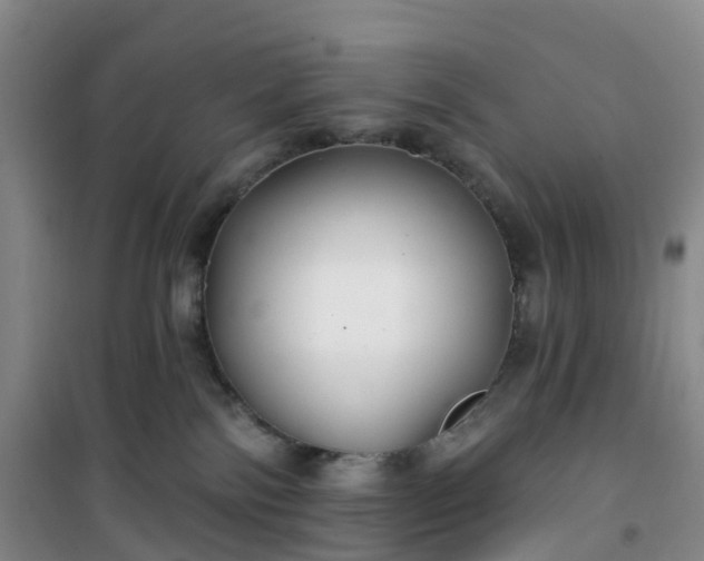 X0000101180138200807111124