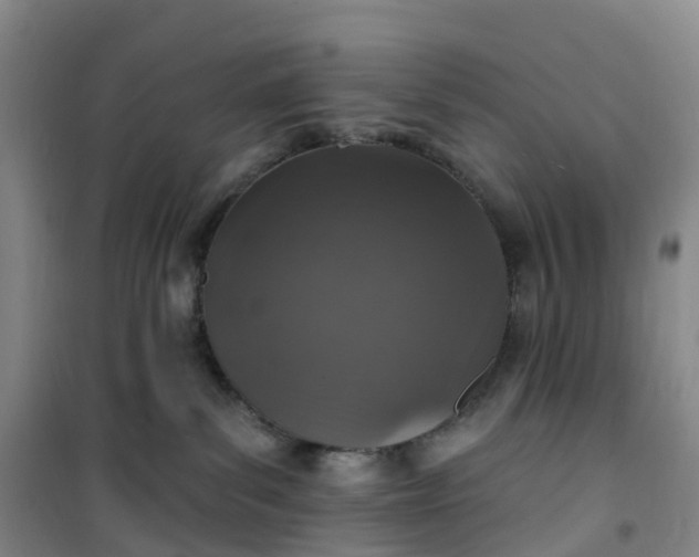 X0000101180139200807111124