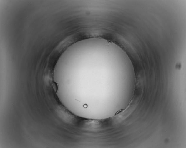 X0000101180140200807111124