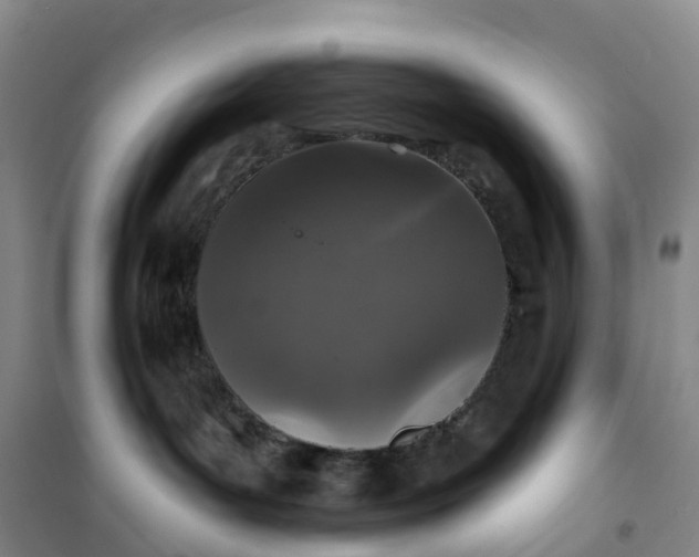 X0000101180143200807111124