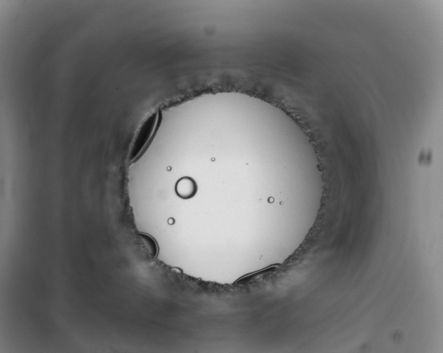 X0000101180144200807111124