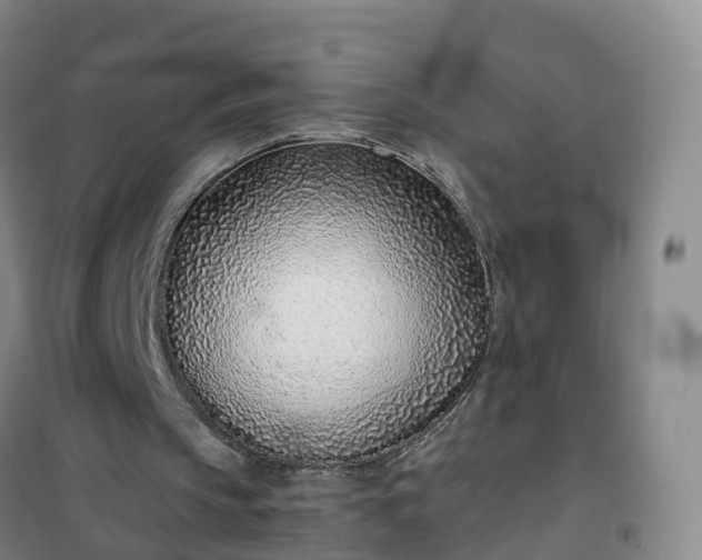 X0000101180145200807111123