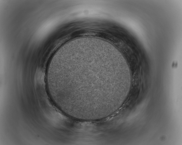 X0000101180146200807111123