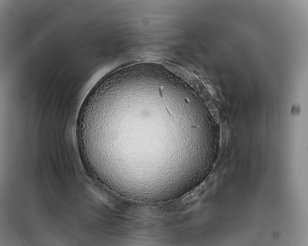 X0000101180147200807111123