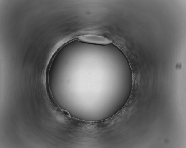 X0000101180148200807111123