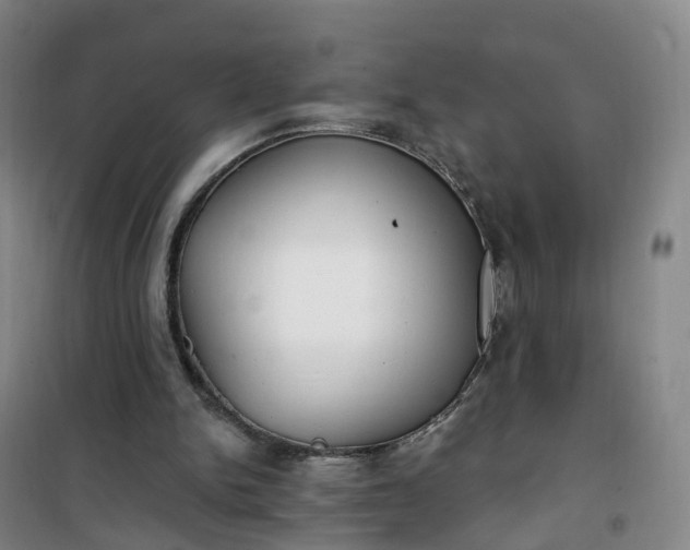 X0000101180150200807111123