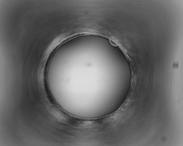 X0000101180151200807111123