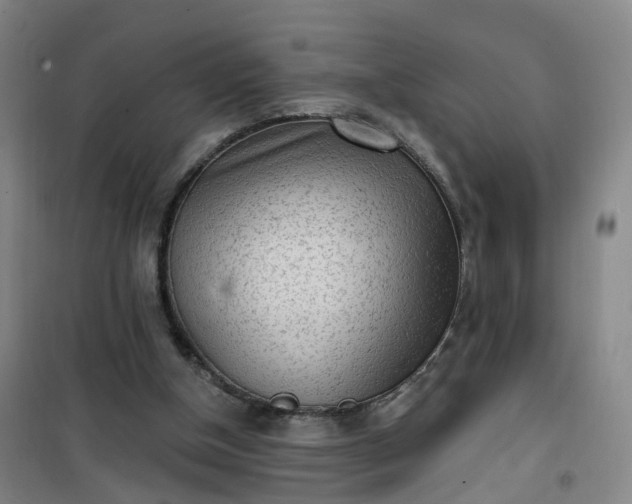 X0000101180154200807111123