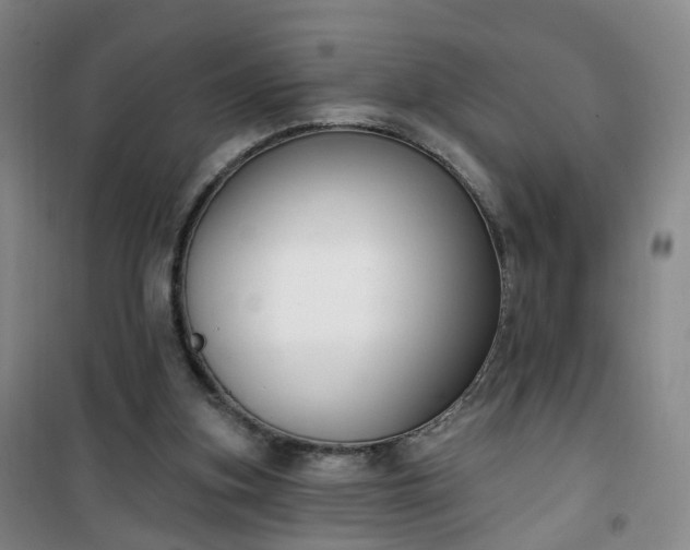 X0000101180155200807111123