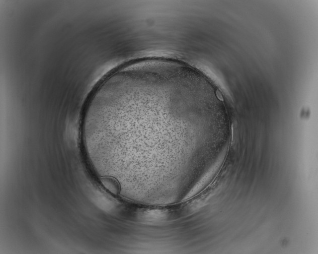 X0000101180156200807111123