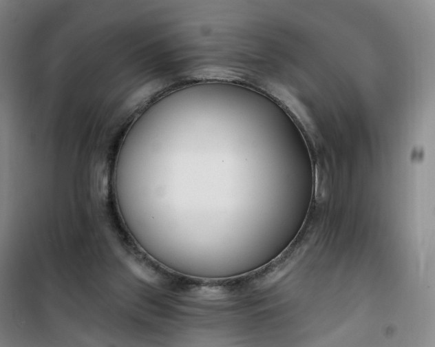 X0000101180157200807111123