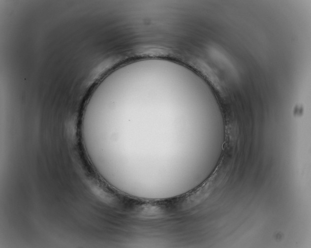 X0000101180159200807111123