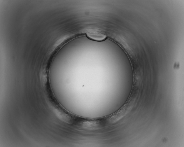 X0000101180160200807111123