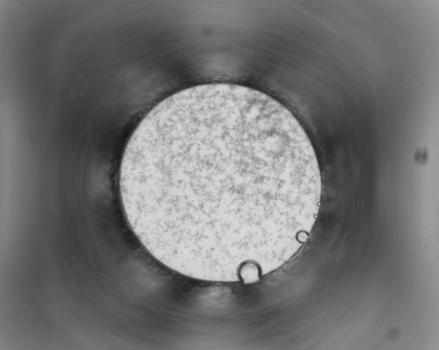 X0000101180162200807111123