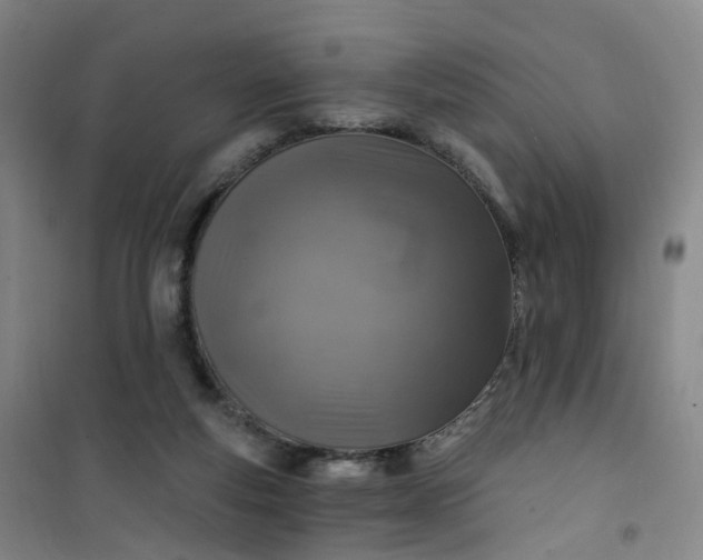 X0000101180163200807111123