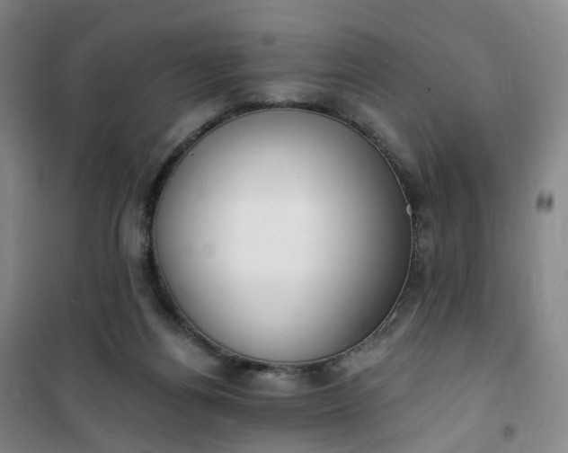 X0000101180164200807111123