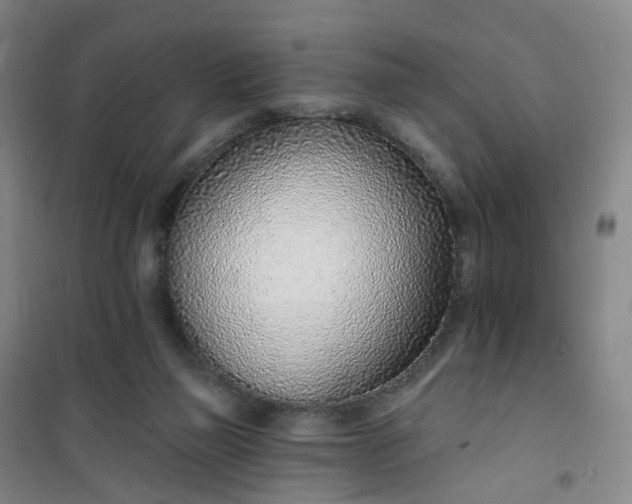 X0000101180165200807111123