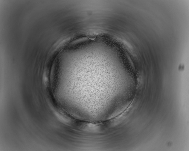 X0000101180166200807111124