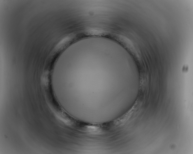 X0000101180167200807111124