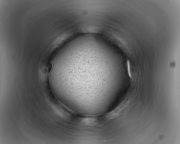 X0000101180168200807111124