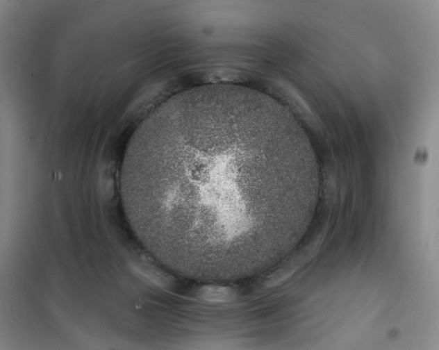 X0000101180169200807111124