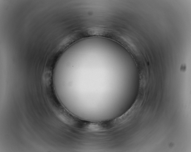 X0000101180171200807111124