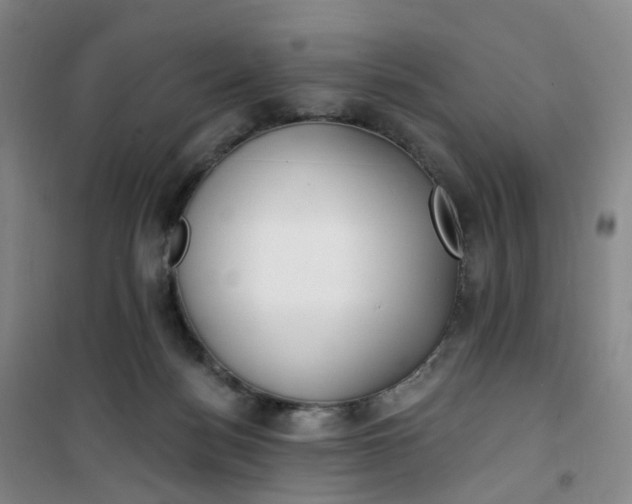 X0000101180172200807111124