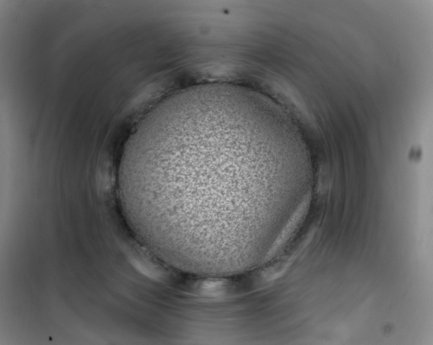 X0000101180173200807111124