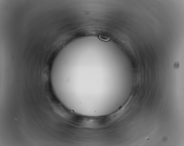 X0000101180174200807111124