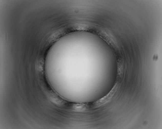 X0000101180175200807111124