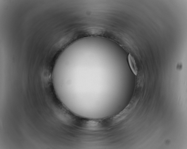 X0000101180176200807111124