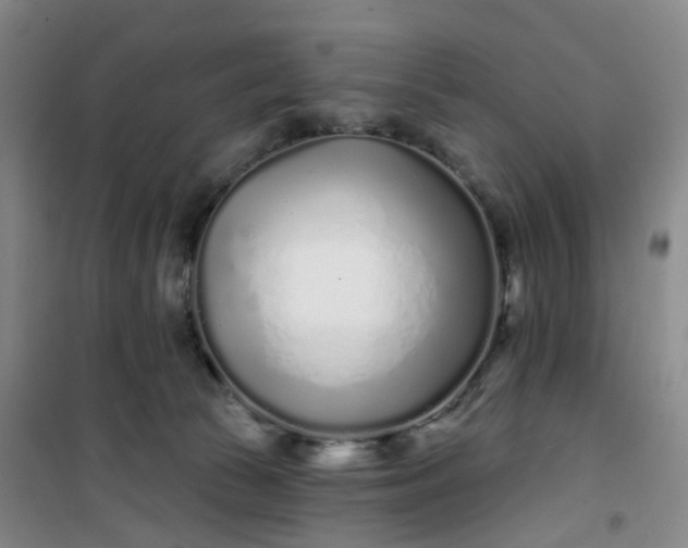 X0000101180177200807111124