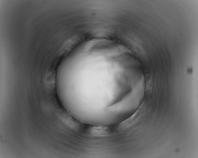 X0000101180179200807111124