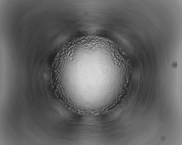 X0000101180181200807111124