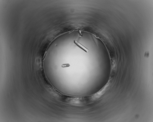 X0000101180182200807111124