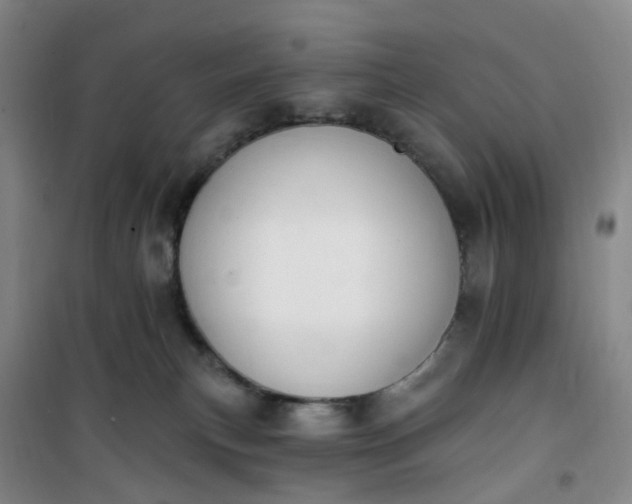 X0000101180183200807111124