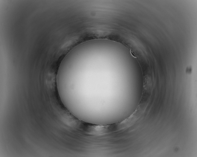 X0000101180184200807111124