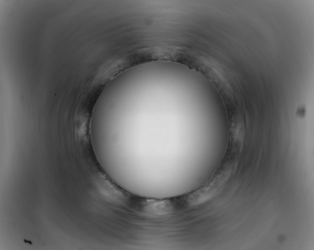 X0000101180185200807111124