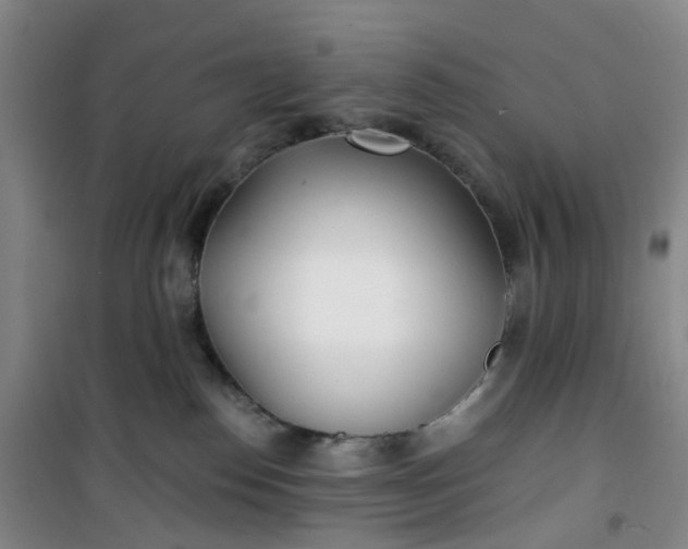 X0000101180186200807111124