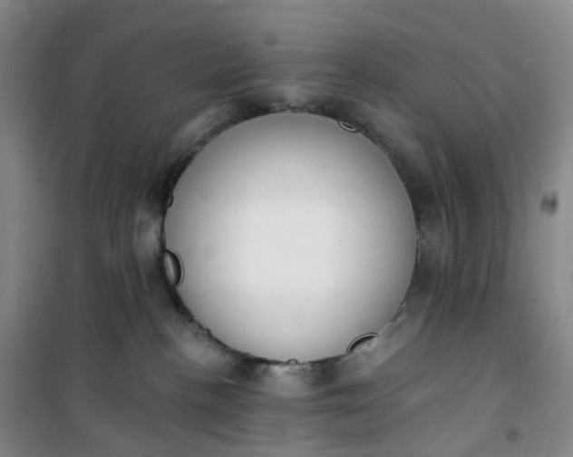 X0000101180188200807111124