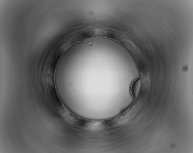 X0000101180189200807111124